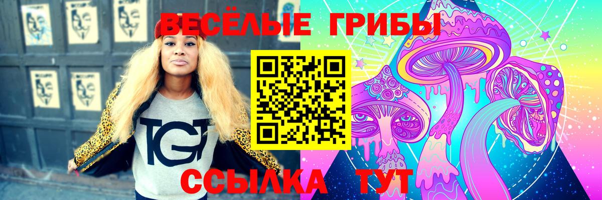 Псилоцибиновые грибы ЛСД  Галлюциногенные грибы мухоморы  Волжск  Вход с VPN 